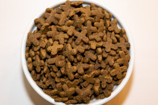 Croquettes Sans Grains Canard & Hareng pour Chat (20 lb)